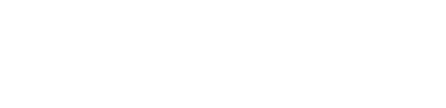 Singer Logo